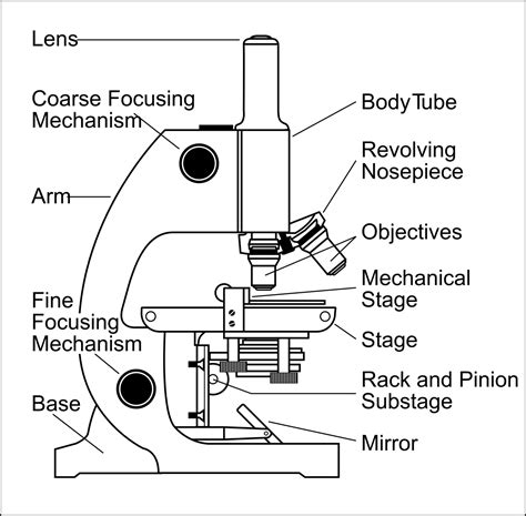 20+ Easy Microscope Drawing Ideas with Label.